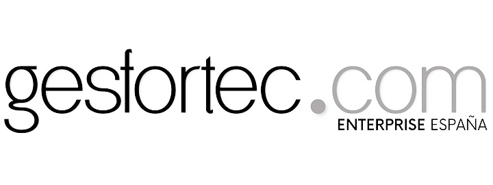 GRUPO GESFORTEC, S.L. ENTERPRISE ESPAÑA